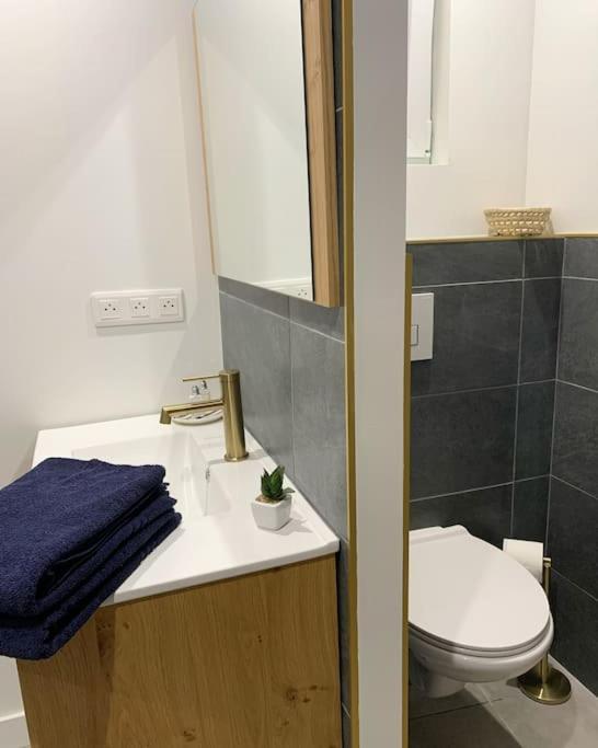 Maison Centre Ville - 2 Chambres - Sauna En Option Marchiennes-Ville Екстериор снимка